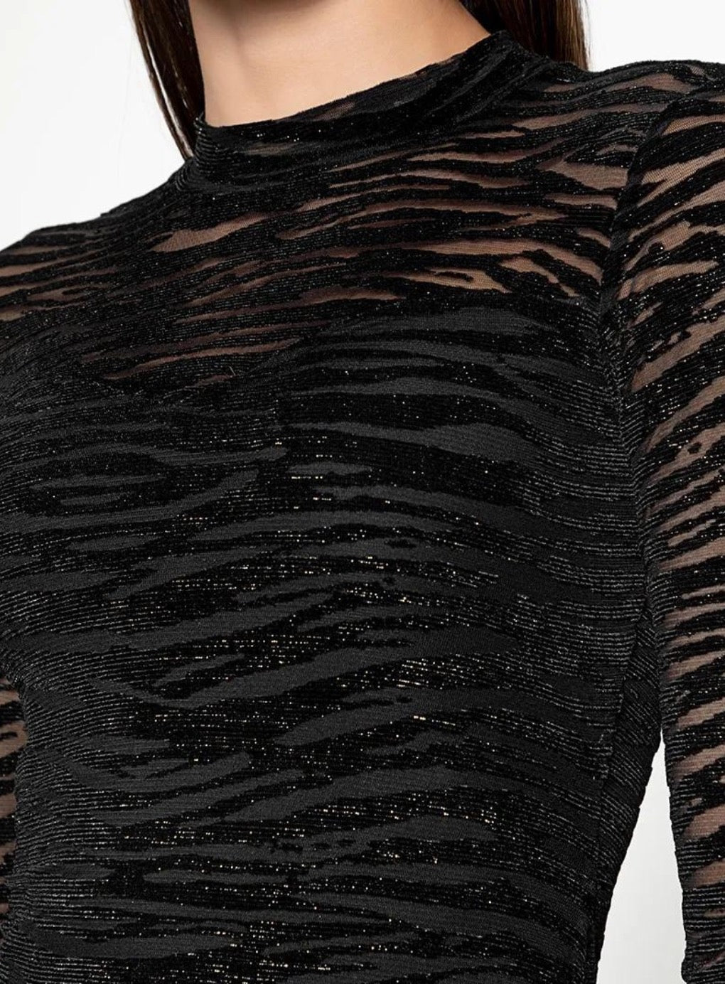 Shiny Mesh Long Sleeve Mini Dress