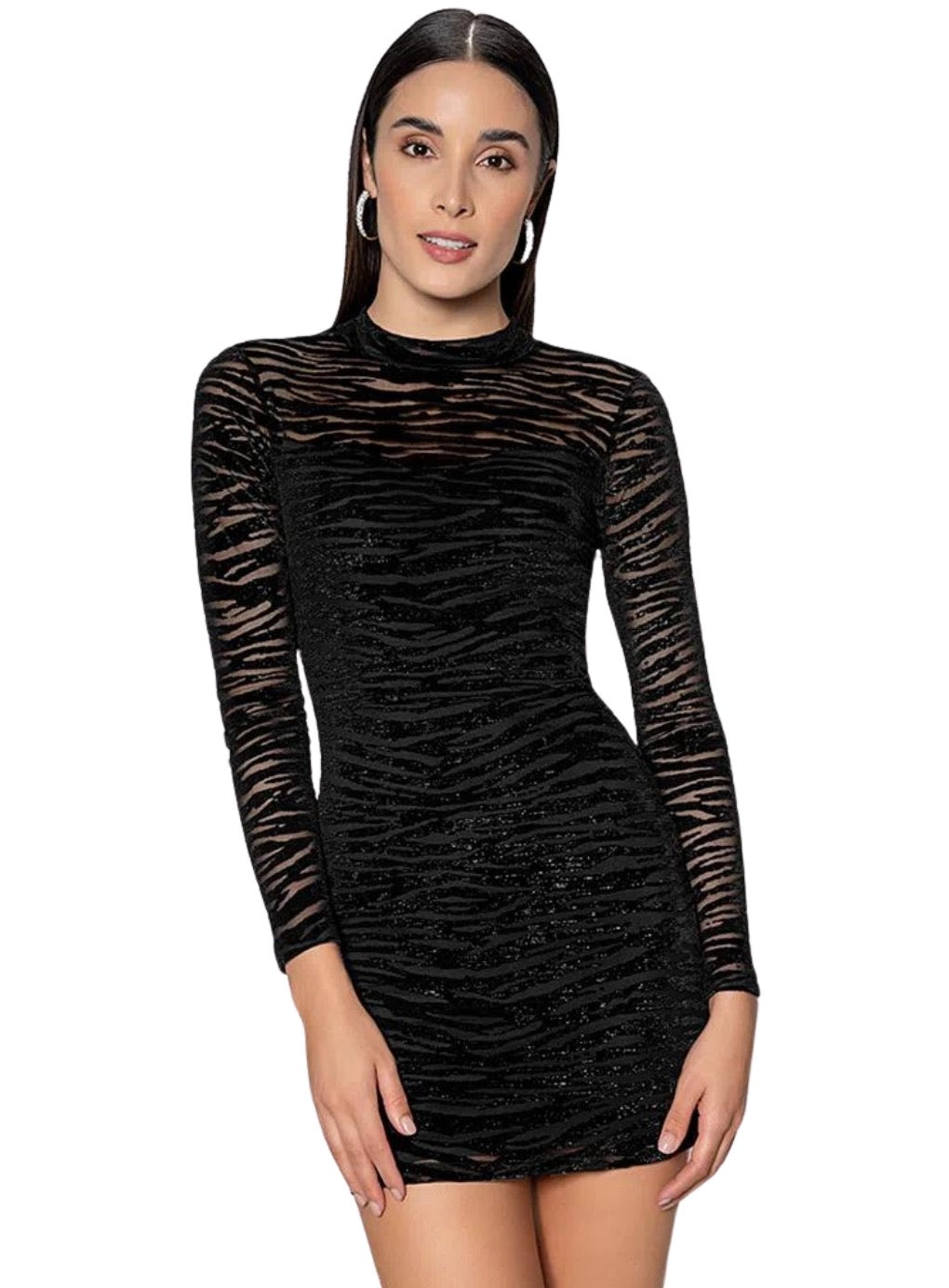 Shiny Mesh Long Sleeve Mini Dress