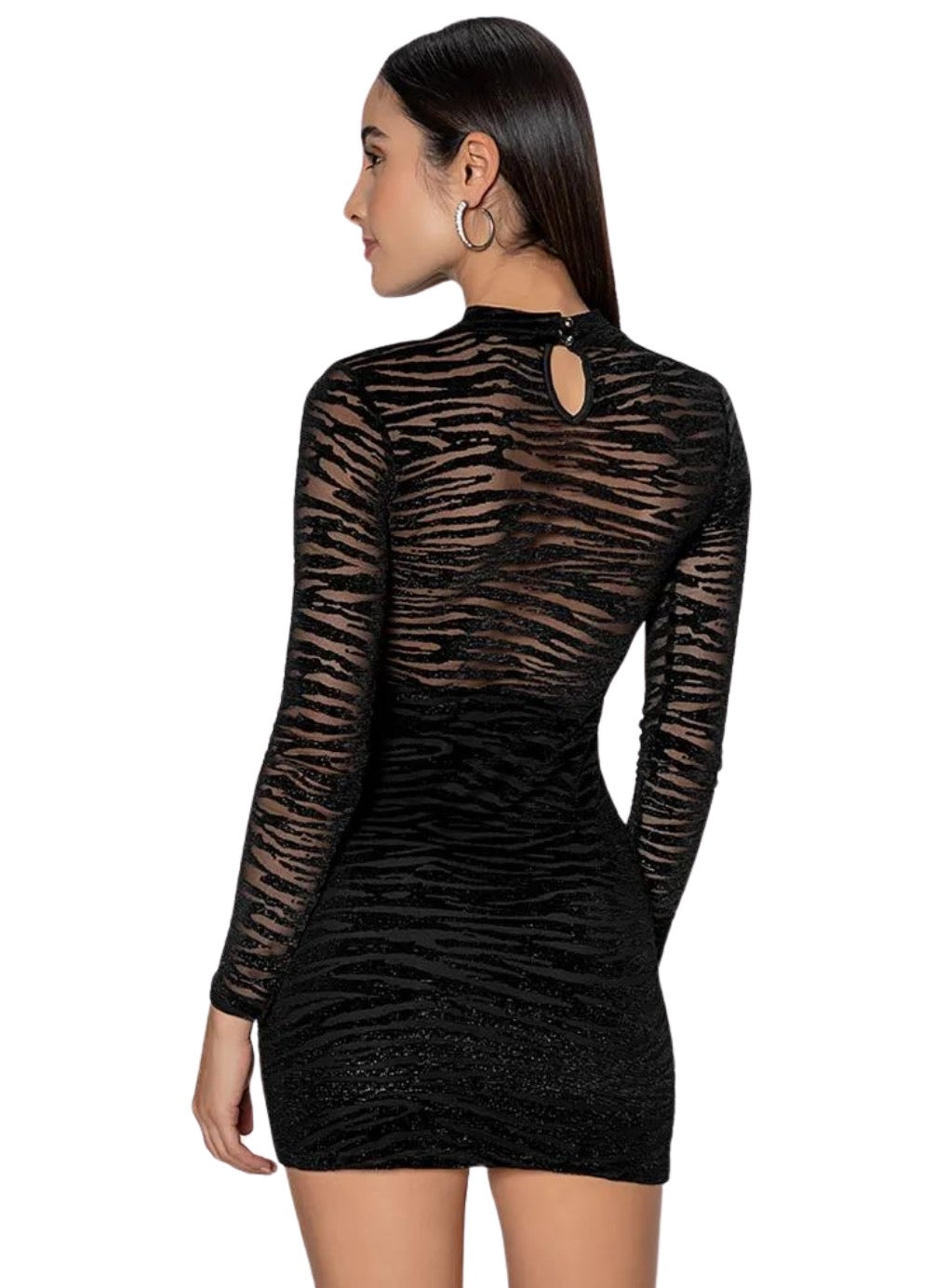 Shiny Mesh Long Sleeve Mini Dress