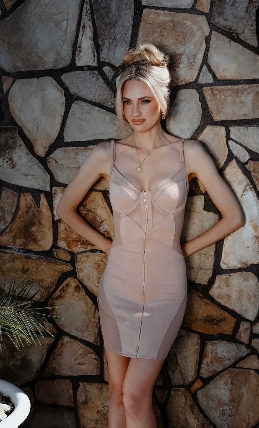 Laila Velvet Dress