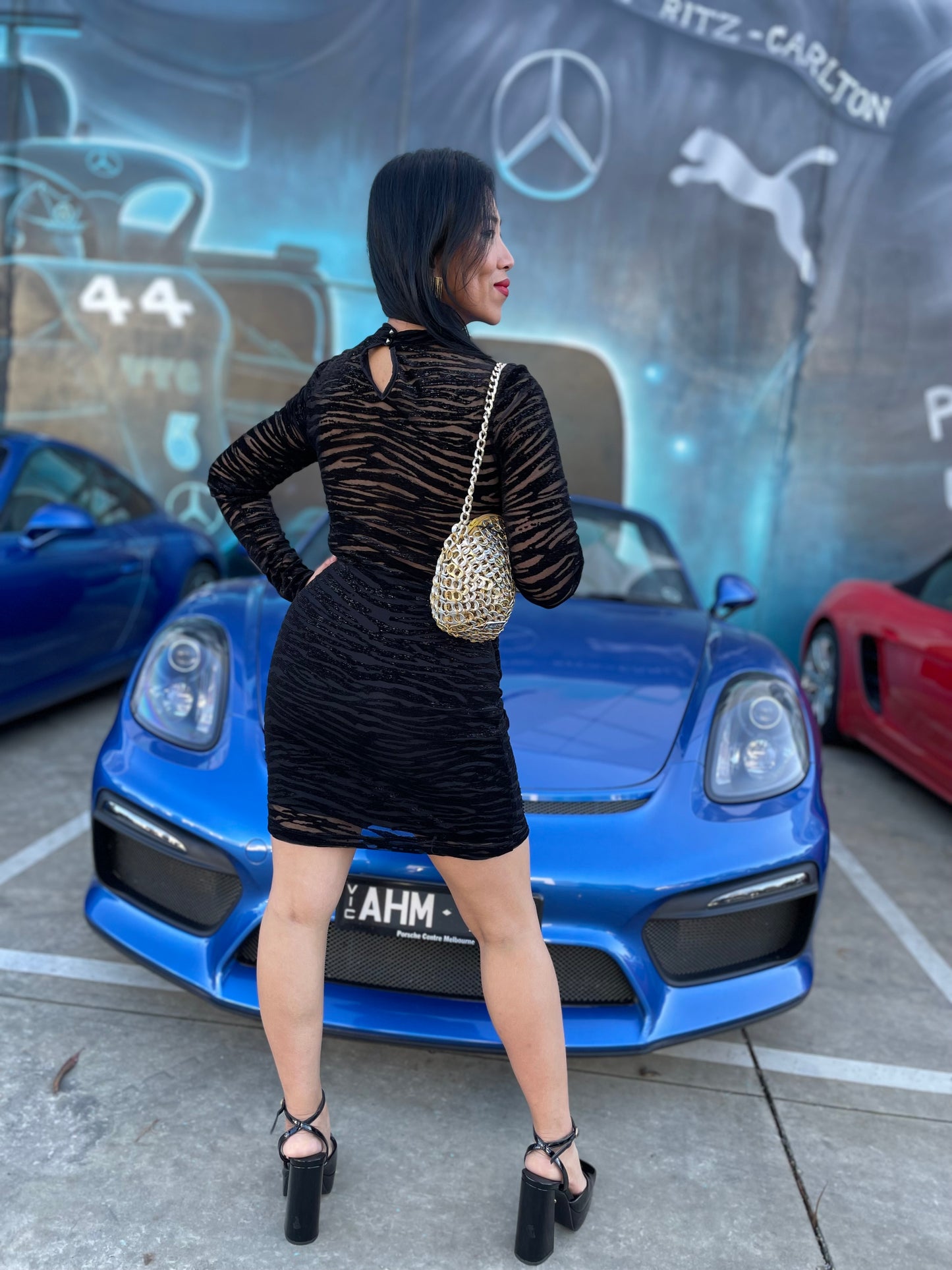 Shiny Mesh Long Sleeve Mini Dress
