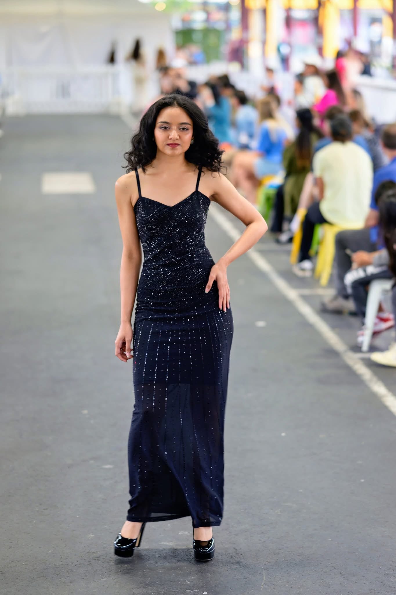 Moonlit Sheer Embroidered Dress